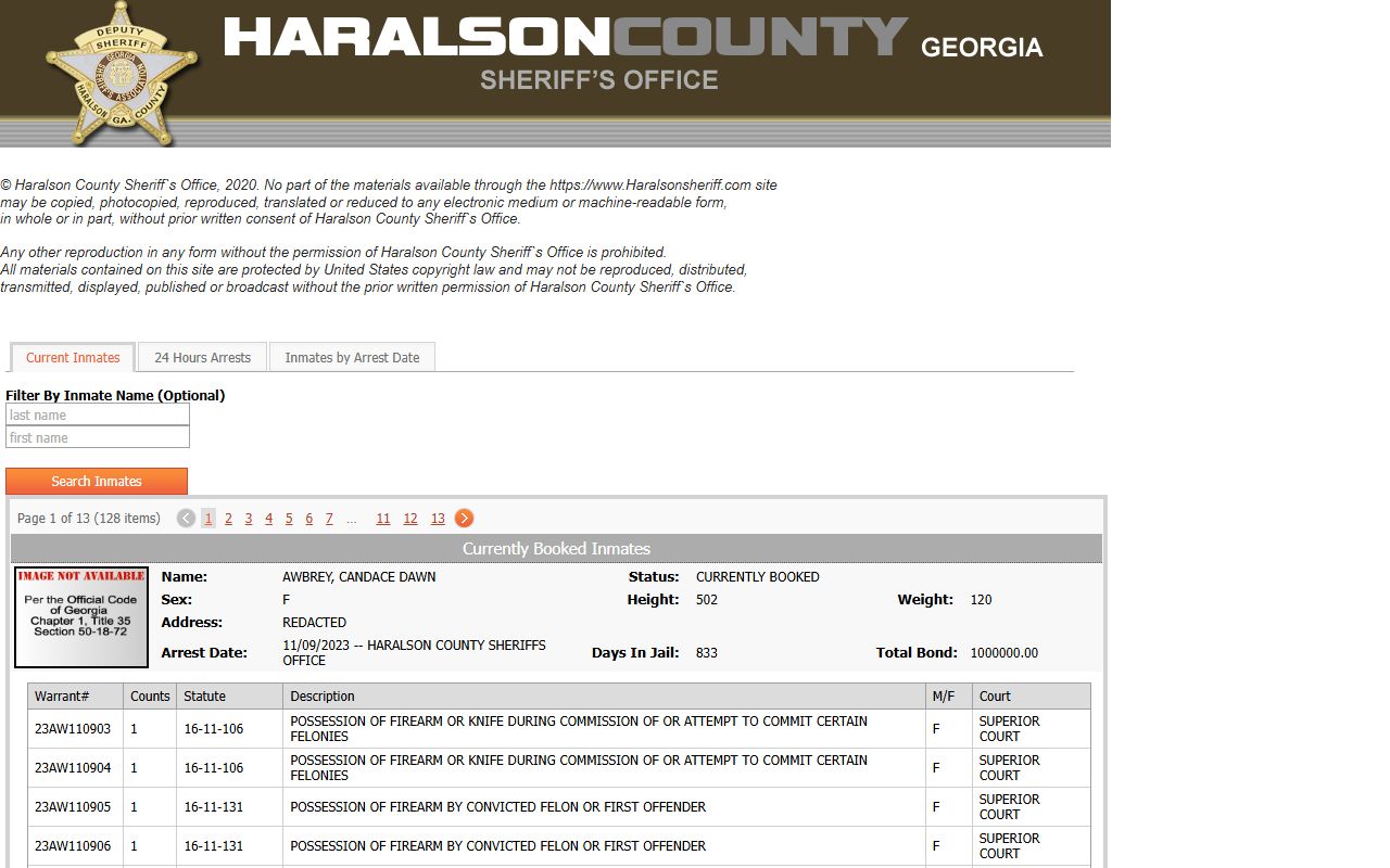Haralson County released inmates online inmate search portal